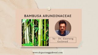 Bambusa Arundinaceae -Dr Gaurang Gaikwad