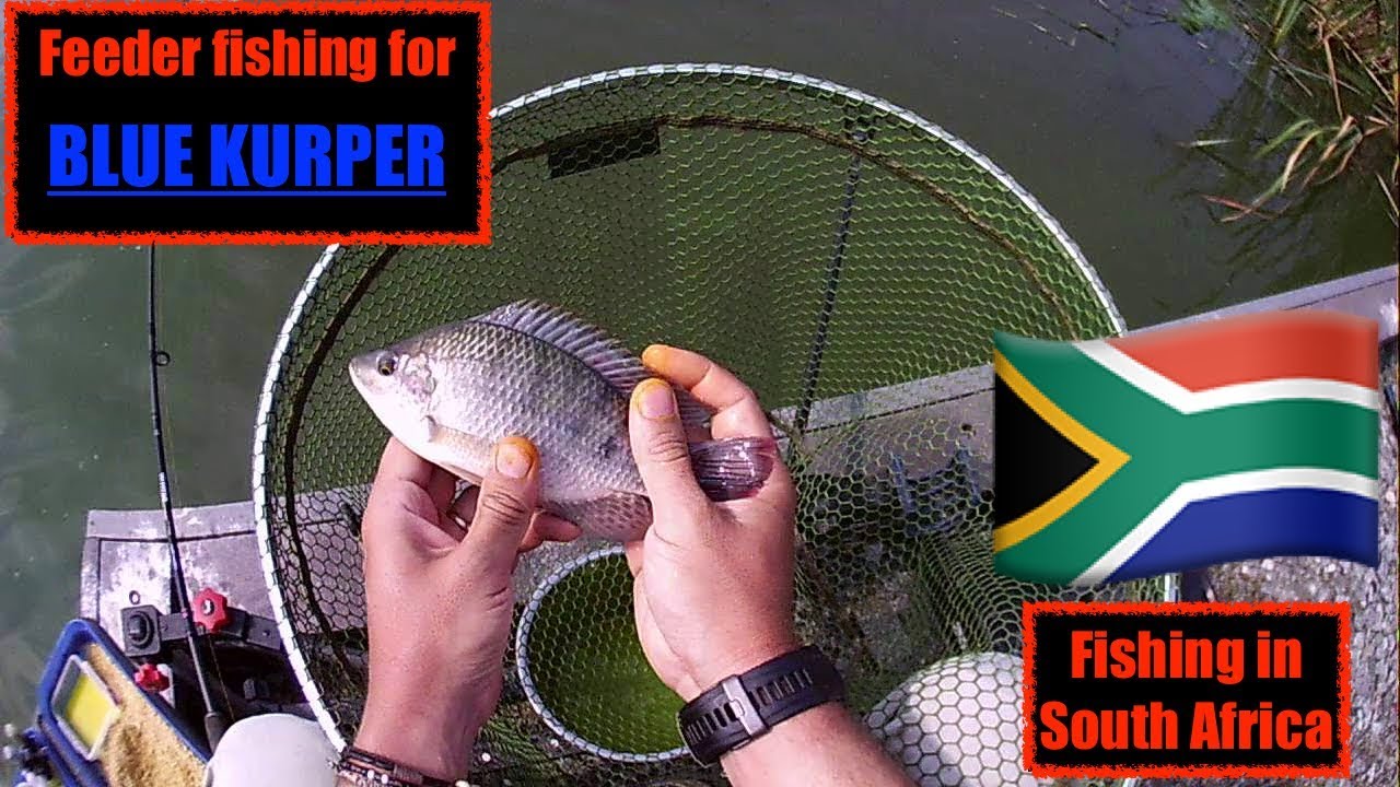 Feeder Fishing fishing for Mozambique Tilapia at De Nyl, Limpopo, South