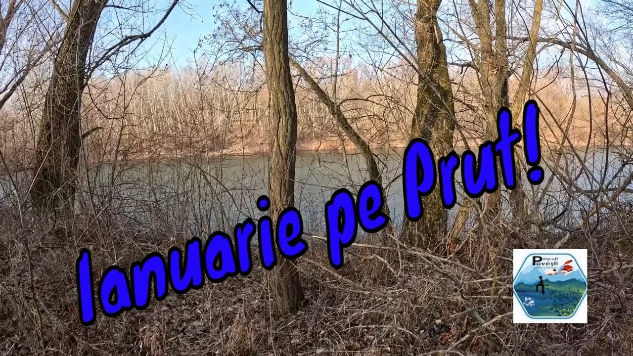 - Spinning pe Prut - Prima partidă de pescuit la spinning pe Prut din 2025 a adus o frumoasă gherlă!