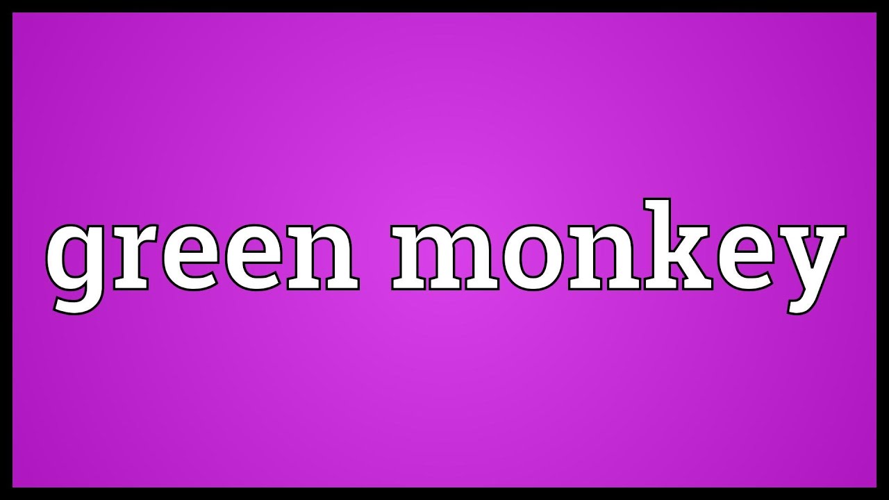 Green monkey Meaning YouTube
