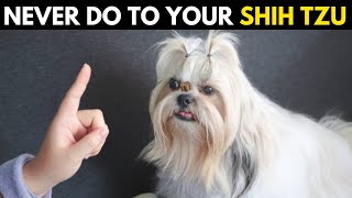 12 Forbidden Actions Every Shih Tzu Owner Must Avoid