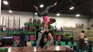 Famous Luna the Noodle Demo Reel  December 2019 Profile