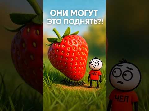 СКОЛЬКО Муравьев Нужно, Чтобы ПОДНЯТЬ ЧЕЛОВЕКА? 🐜💪 #shorts