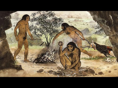 Video: ¿Qué fue antes de la Edad de Piedra?