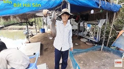 ĐI BIỂN CÂU CÁ KHỦNG CÙNG ĐỒNG BỌN | GẶP Ổ CÁ NGÁT GIẬT MỎI TAY