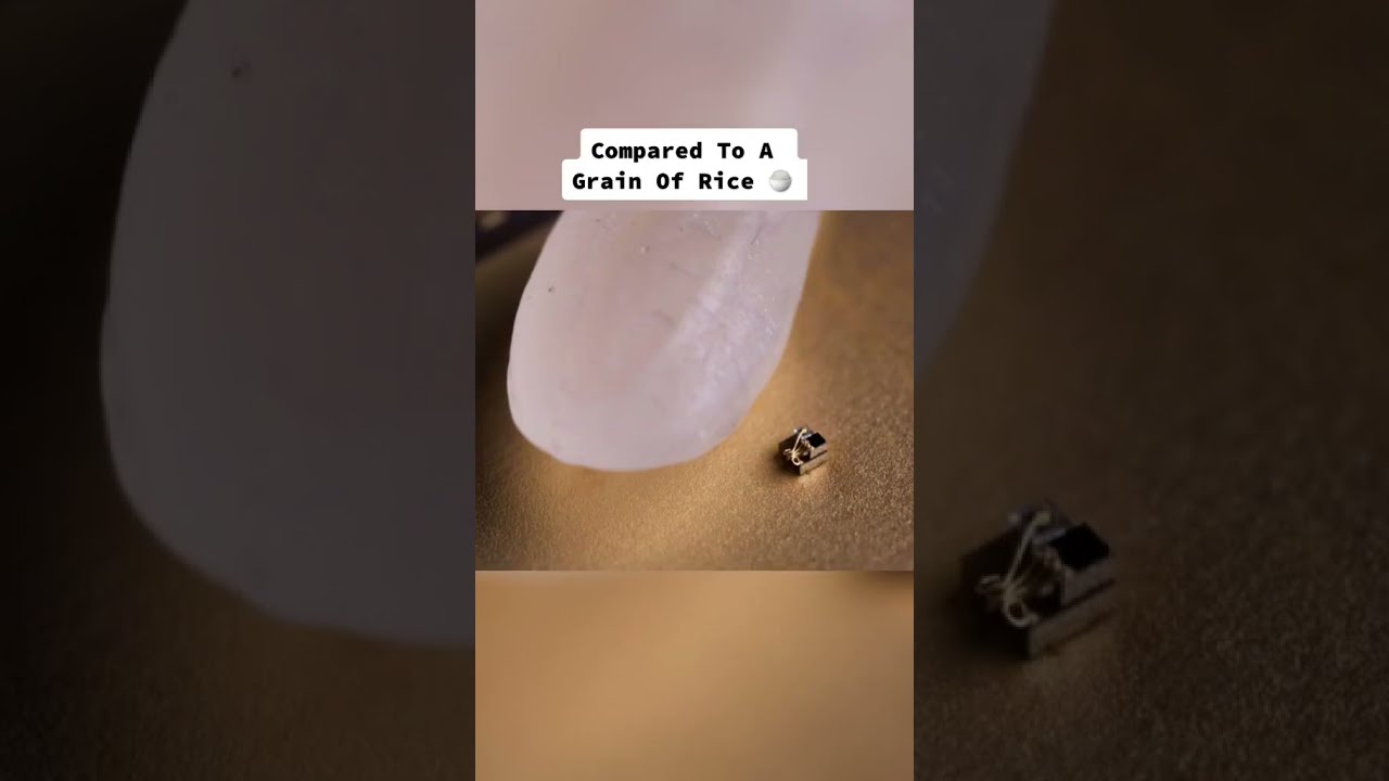 Things That Are Smaller Than You Think 