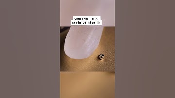 Things That are Smaller than you think!