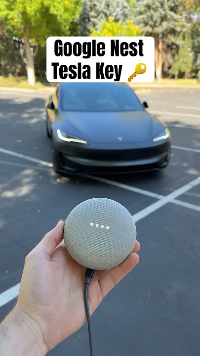 Can I Unlock My Tesla With a Google Nest Mini?? 😳👀