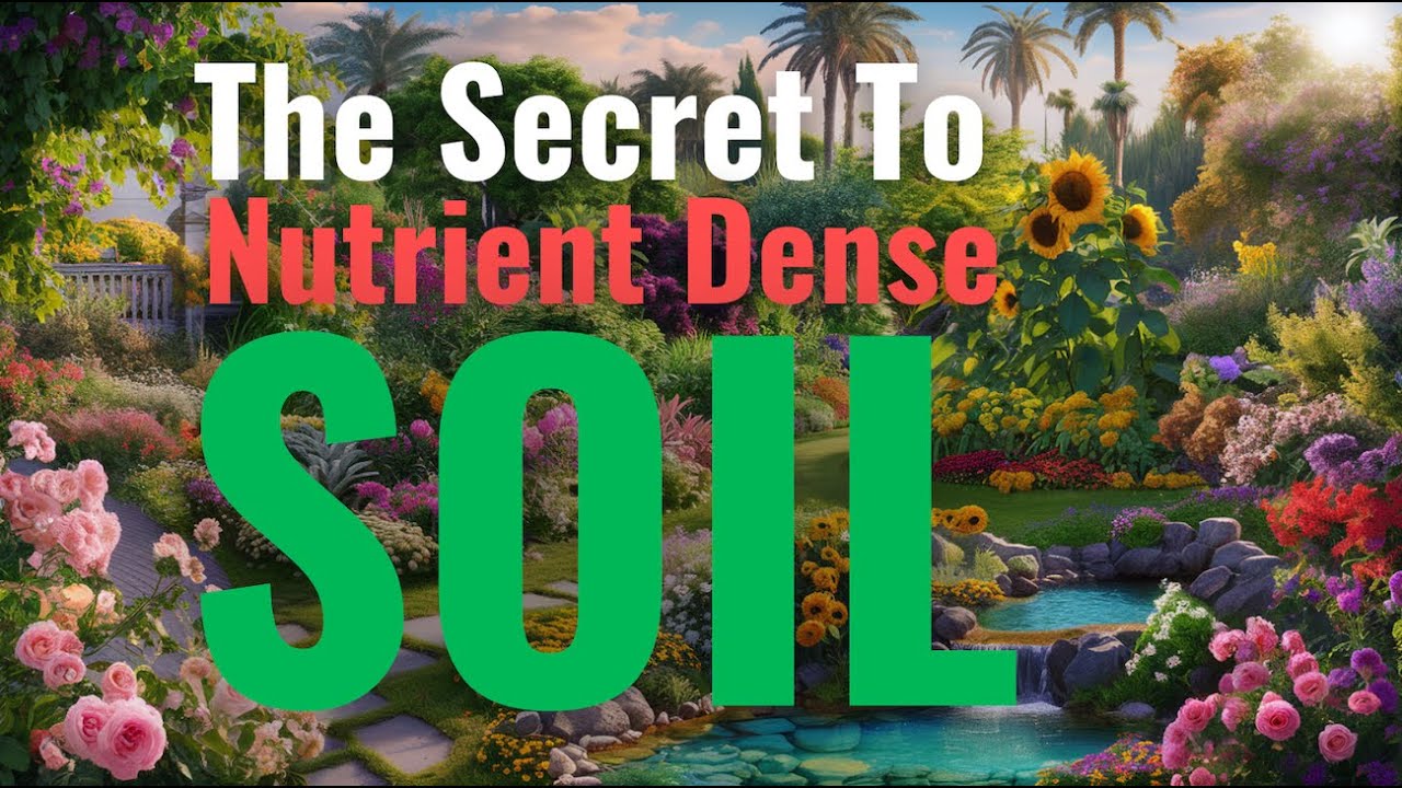 Discover the Hidden Key to Healthy Soil