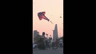 Raditori - Khờ Demo