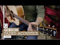 Gibson Faded Acoustics: J-45, J-35 & Hummingbird Demo