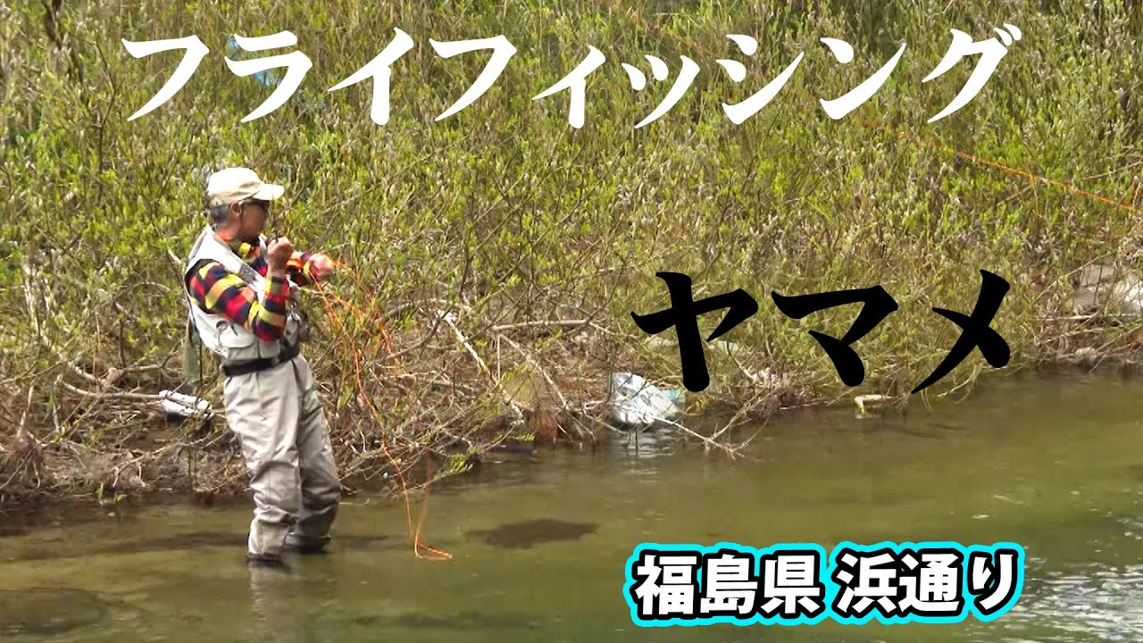 里見栄正が魅せる解禁日のフライフィッシング釣行 2/2 『フライギャラリー』【釣りビジョン】