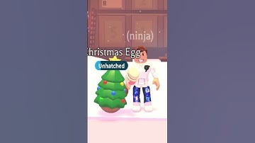 Day 5 Advent Calendar 2022 Adopt me  #shorts