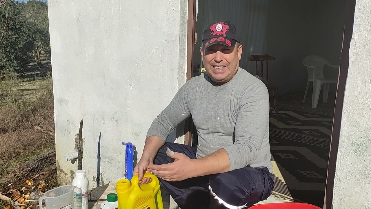 ZEYTİNDE BAKIR SÜLFAT MI BORDO BULAMACI MI? GÜBREYLE KARIŞIR MI?