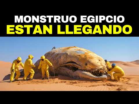 Lo Que Capturaron