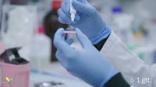 immunoMUSE® Amplify Protocol | Part 4: Mounting and Imaging