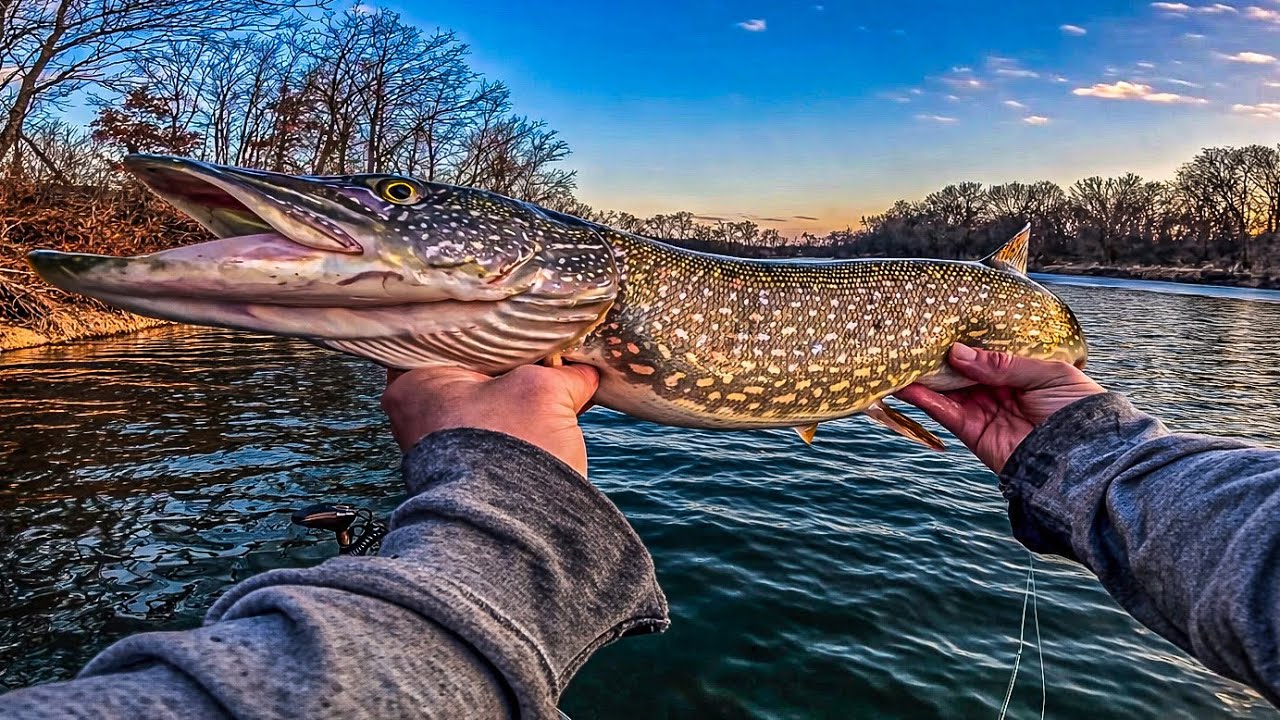 Kayak Fishing a Small Minnesota Border River in February! (walleye, pike, bass)  