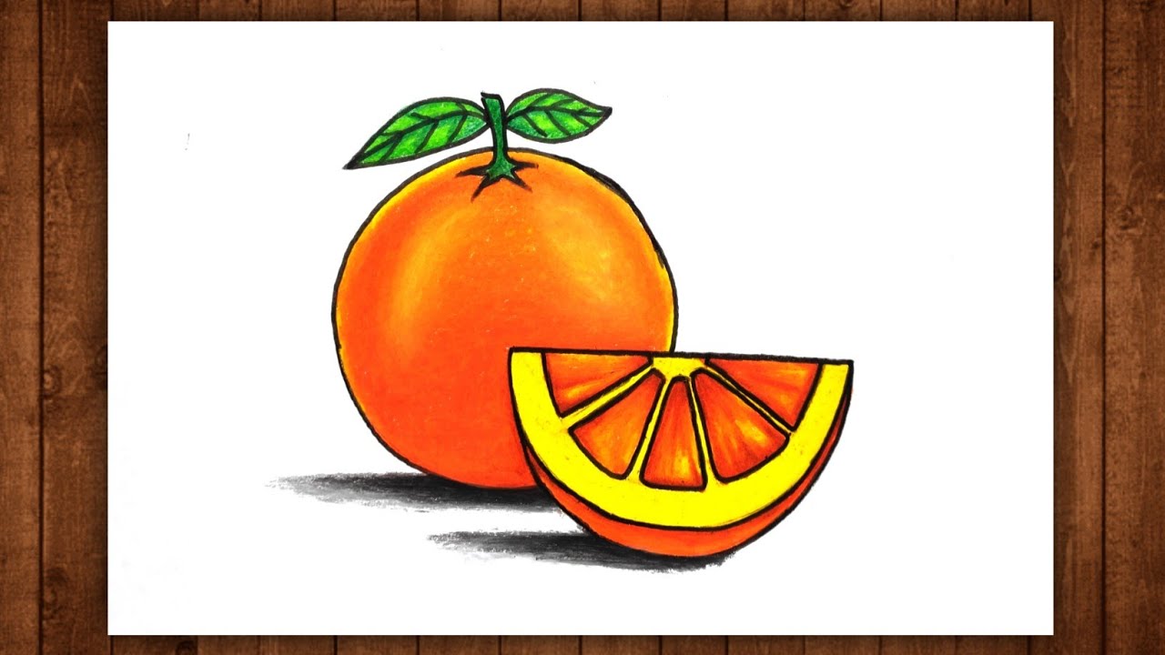 How To Draw Orange Easy Step By Step | Orange Drawing | Fruits Drawing ...