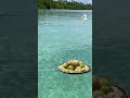 FIN VACANCES 2025 2026.