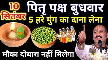 10 सितंबर पितृपक्ष बुधवार संकष्टी चतुर्थी को 5 हरे मूंग वाला उपाय जरुर करे || Pradeep Ji Mishra