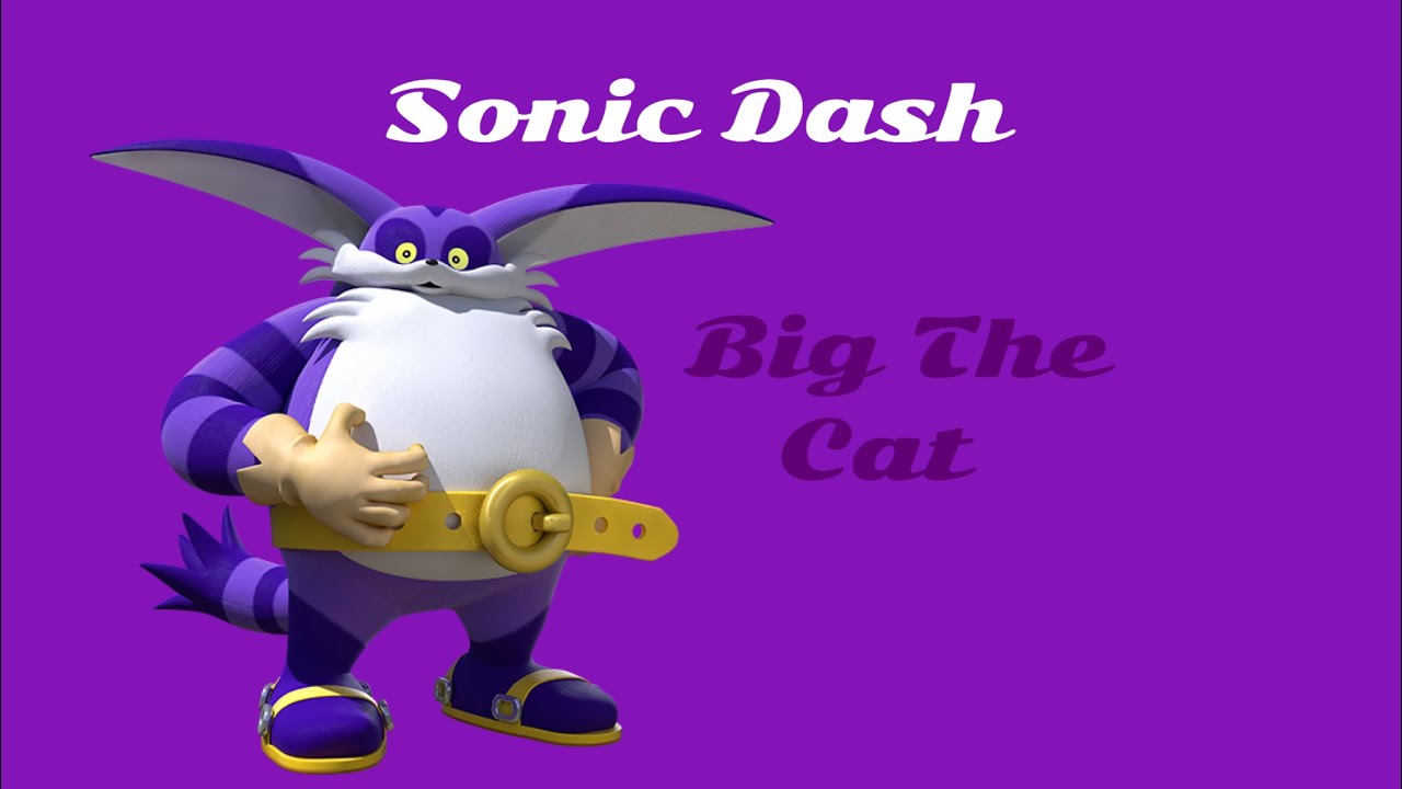Sonic Dash Gameplay (Big The Cat)