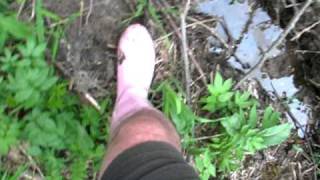 MVI_3685.AVI