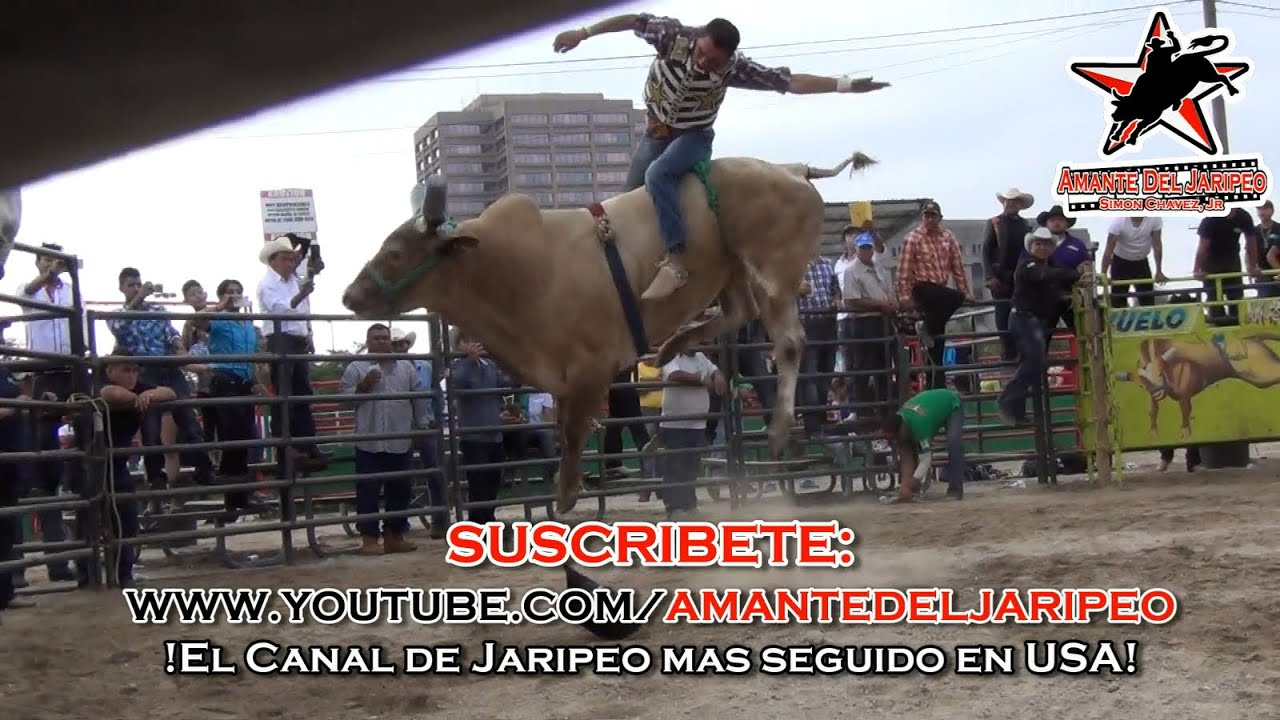 DESPUES DE AÑOS... REGRESARON LOS TERRIBLES a la GARIBALDI de CHICAGO