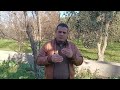 محفز طبيعي للكبد والعصارة الكبدية - دكتور رمضان ساري