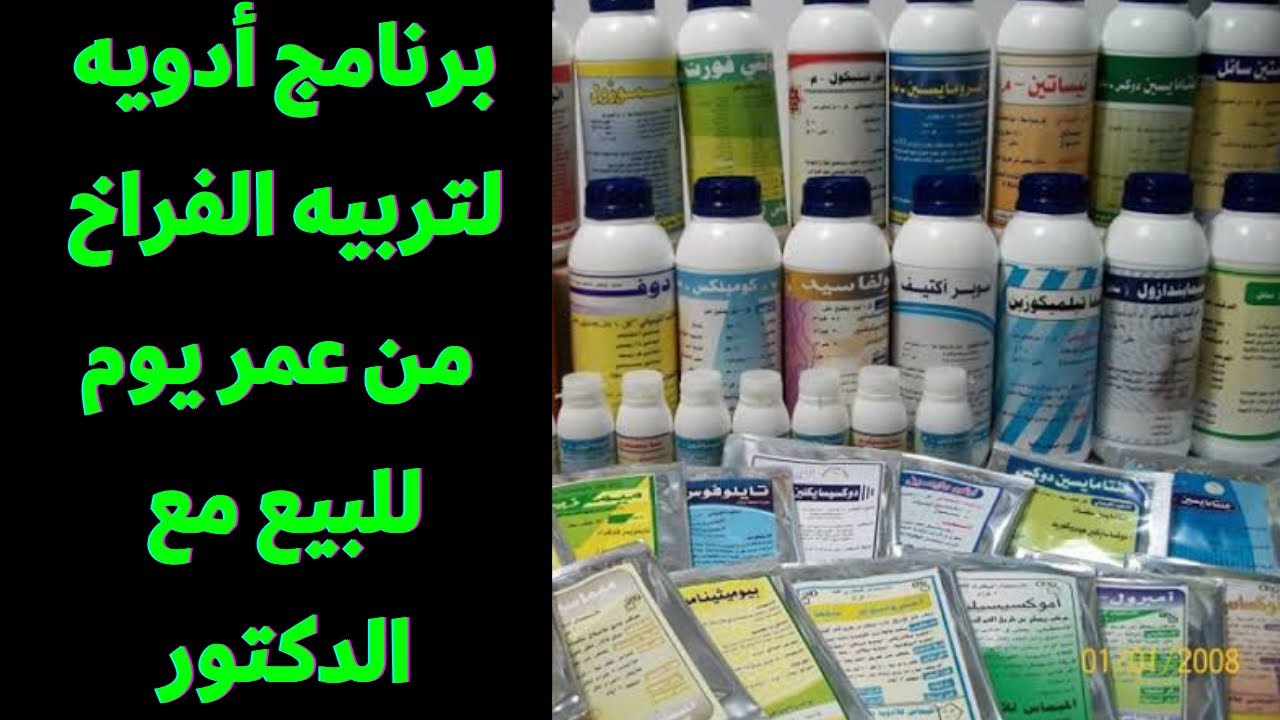 برنامج ادويه كامل لدوره تسمين الفراخ الدكتور محمد