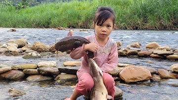rudimentary fish trapping skills, spiral arrangement to trap fish, harvesting fish for sale 
