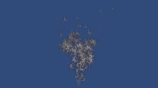 Visual Effects Graph Smoke Test screenshot 5