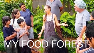 A TOUR THROUGH MY FOOD FOREST AND HOW IT ALL STARTED