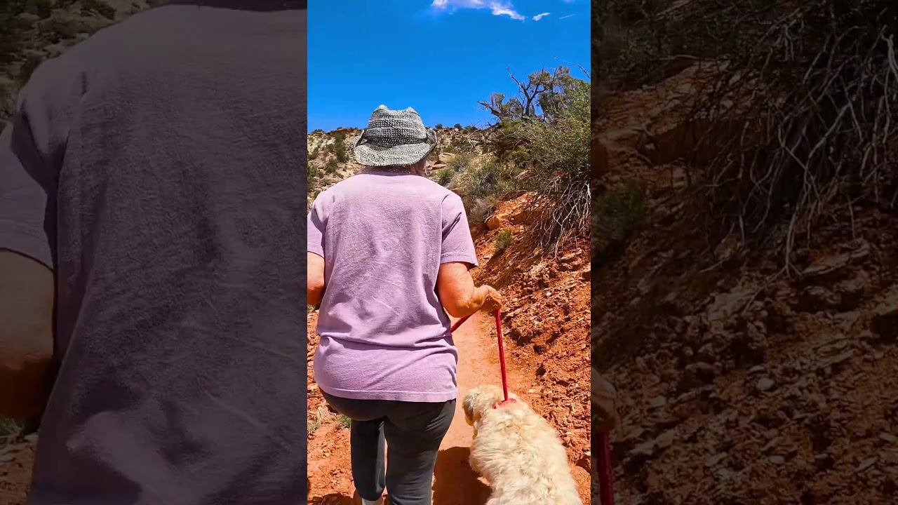 Escalante Petrified Forest State Park, Escalante, Utah