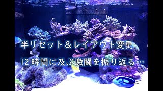 半リセット＆レイアウト変更振り返り！【海水魚水槽】【サンゴ】 - YouTube