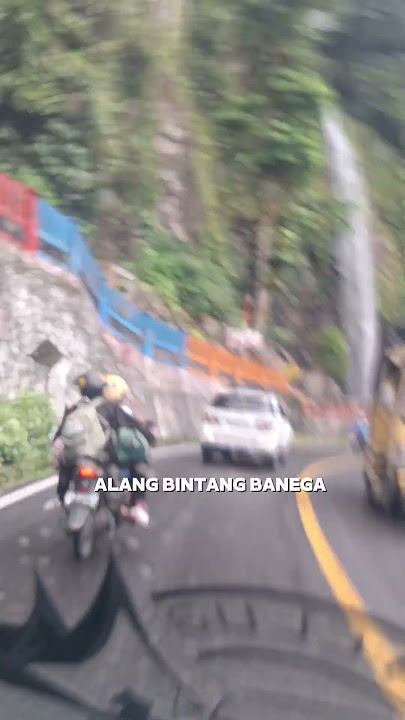 Samanjak buruang pipik kini manjadi alang