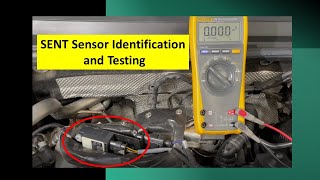 How to test SENT Sensors