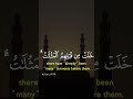 Hearts find peace when they return to Allah🌿#islamicshorts #trustallah #quranreminder #faith #viral