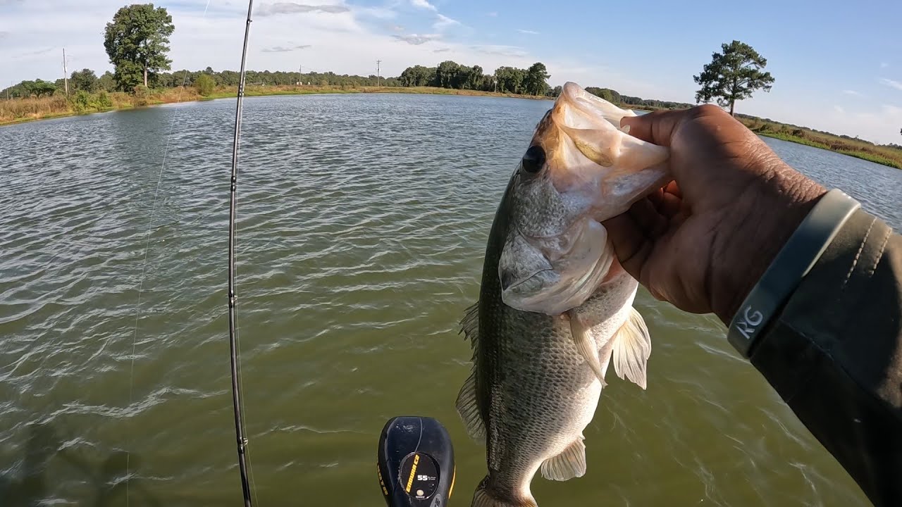 Late Summer Pond Bass Fishing (Pelican Bass Raider 10e)