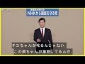 【笑える政見放送】チコちゃんが叱るんじゃ無い…立ち上がれ有権者 【ＮＨＫから国民を守る党】岡本介伸