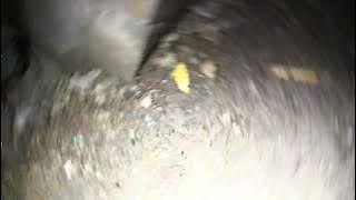 The unknown place Found footege #1 (2) Lavel 2342