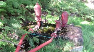 Blake's Hydram water pump on Table Mountain