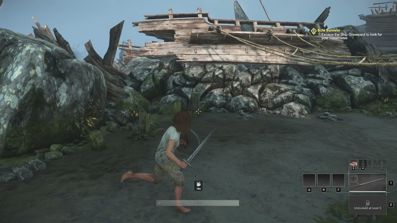 Quest Sole Survivor In New World