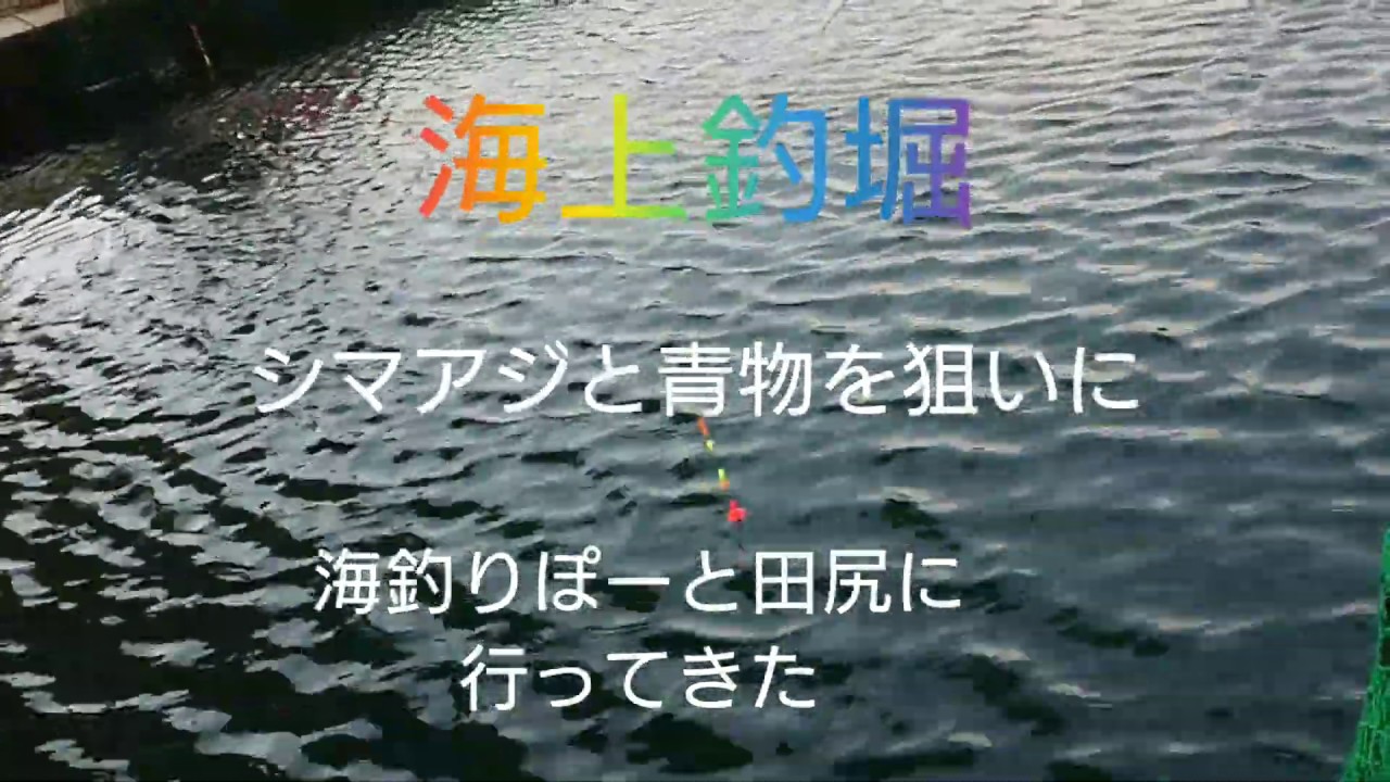 海上釣堀 海釣りぽーと田尻にシマアジと青物を狙いに行ってきた Youtube