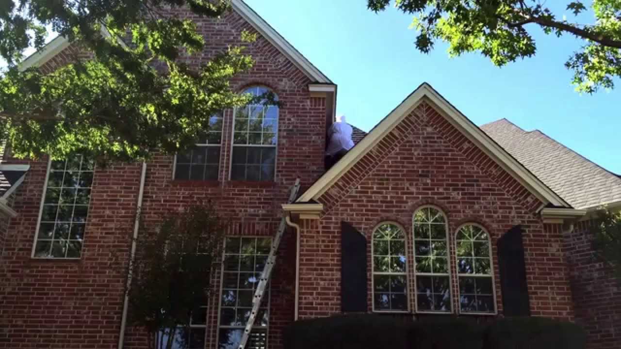 coyotes don edwards Exterior honey bee removal on a steep roof