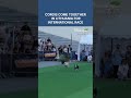 Corgis come together in Lithuania for international race #corgis #lithuania #competition