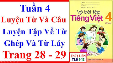 Vở Bài Tập Tiếng Việt Lớp 4 | Tuần 4 | Luyện Từ Và Câu | Luyện Tập Về Từ Ghép Và Từ Láy Trang 28 29