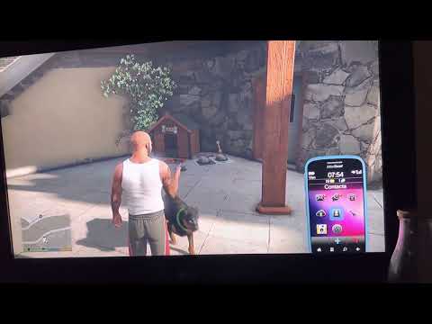 Chop gta 5 ps5 bug fixed (in description)