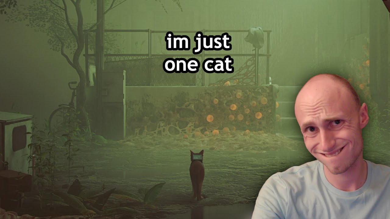 LOTS OF TRAVELING | Stray | Highlights Part 2