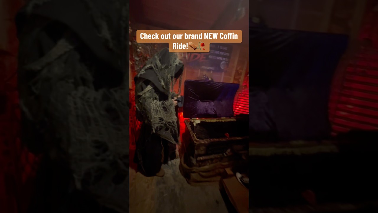 Check out our brand NEW Coffin Ride! ⚰️🥀 #halloween #howto #scary #spookystuff #everydayishalloween