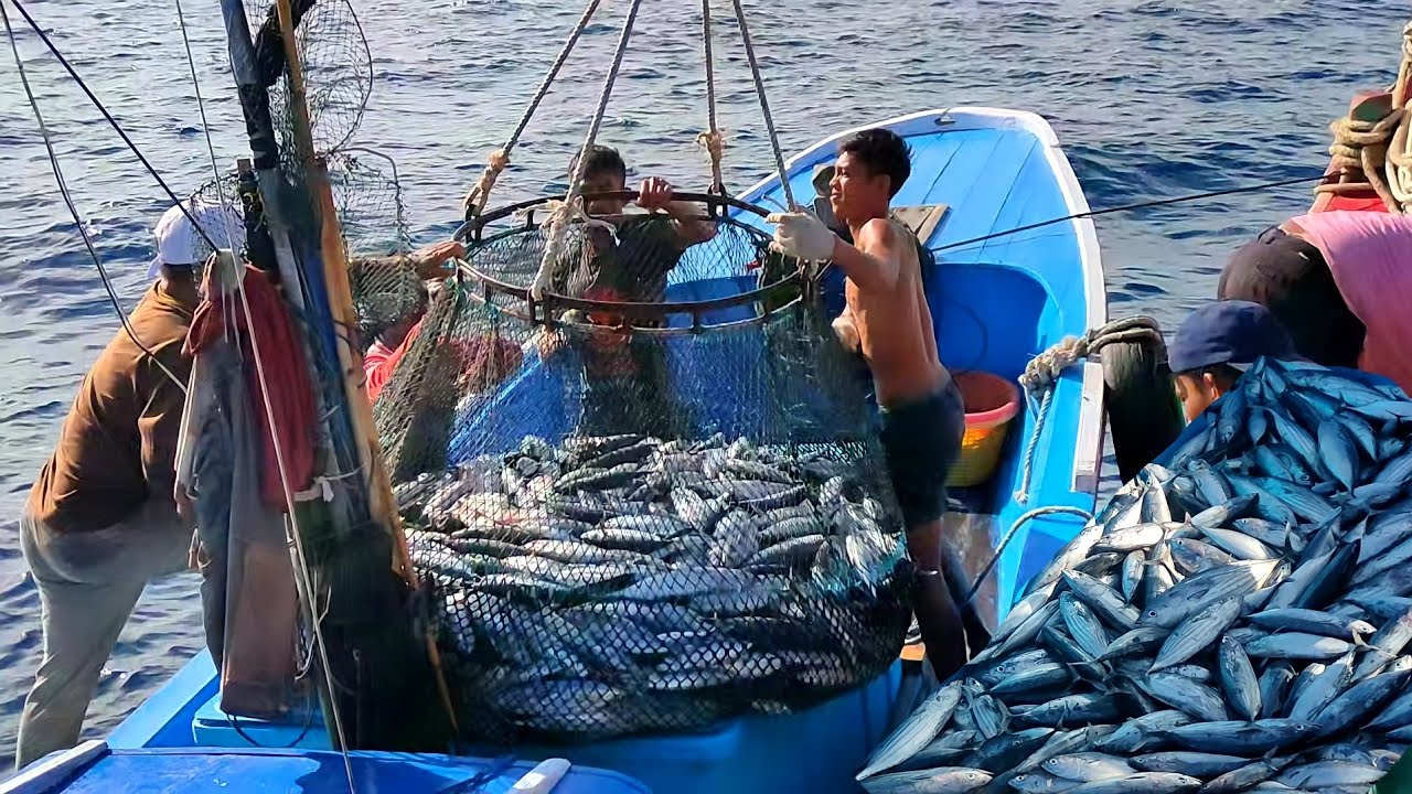 PUKAT CINCIN, Begini Cara Nelayan Indonesia Menangkap Ikan Di Pagi Hari || KM.KURNIA LAUT - 01
